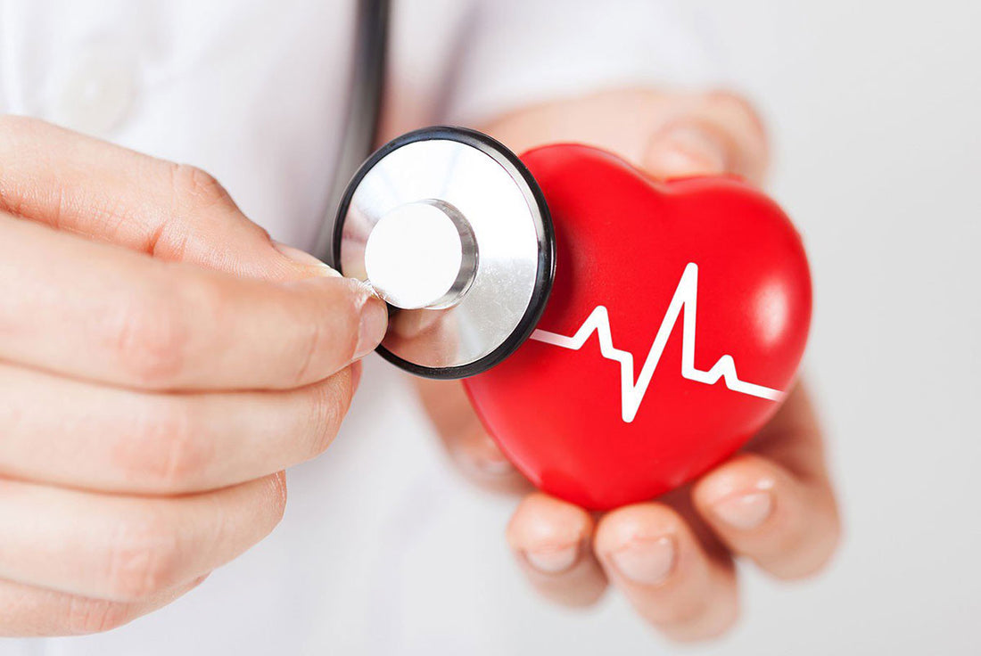 Heart & Lipids: Protecting Your Lifelong Engine